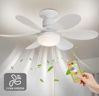 Ventilador De Teto Wind Light Silent Controle Remoto Lâmpada60w Led Silenciosa 6 Folhas ANJGG